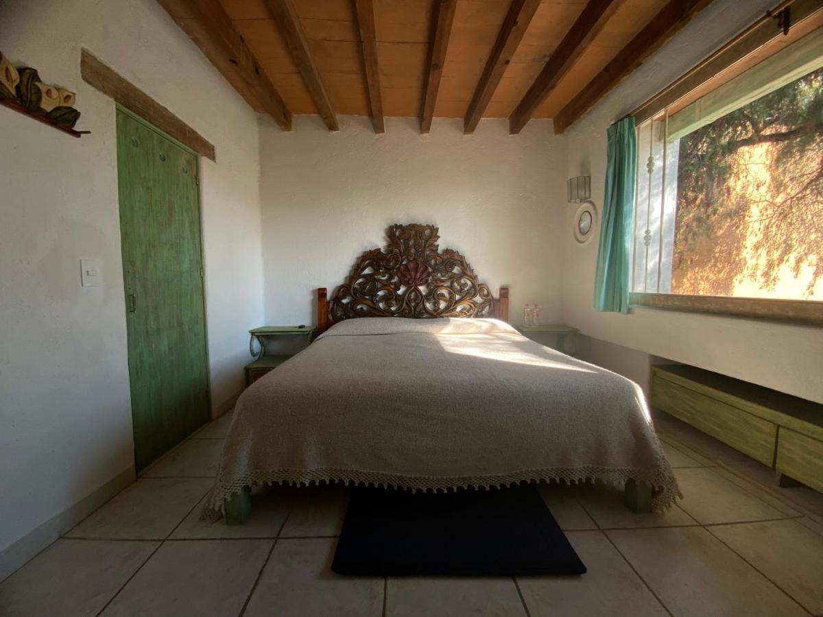 Casa Arbol Hotel San Miguel de Allende Luaran gambar